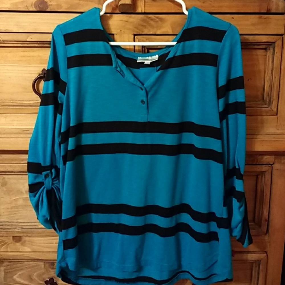 Teal and black pull over blouse.
